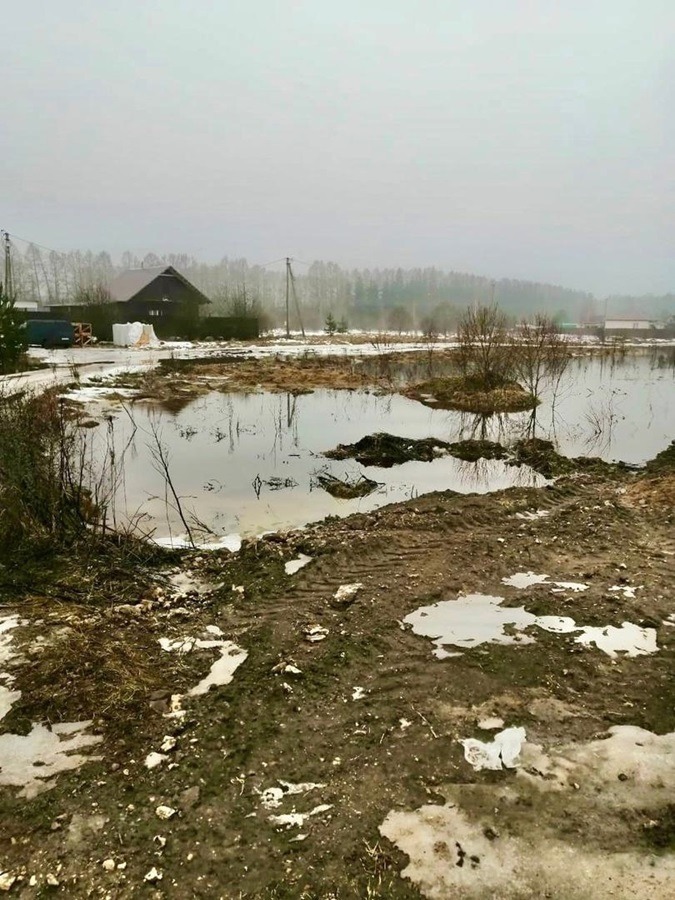 Некоторые участки Псковского района начало затапливать из-за оттепели и обильных осадков